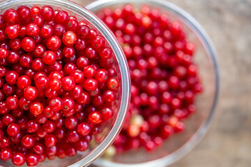 bowl full of red currants. Healthy eating concept