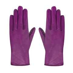 Luxury pair of dark violet leather gloves isolated white