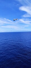 Fototapeta na wymiar flight over the sea