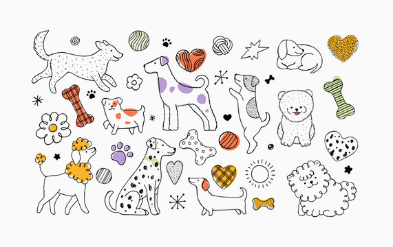 Cute dogs and elements collection. Linear graphic. Animal background. 