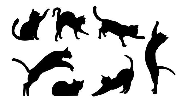 Set Of Black Cat Silhouettes