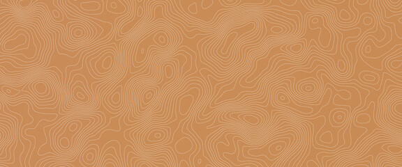 Topographic map. geographic mountain relief. abstract lines background, topographic line contour map background, geographic grid map, mountain trail terrain, terrain path. vector illustration. 