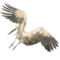 コウノトリ - Oriental stork