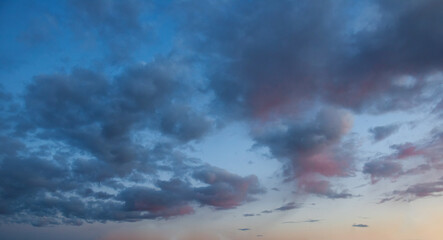 Evening cumulus clouds