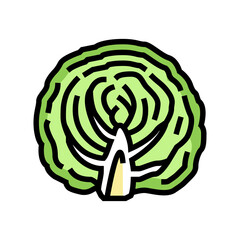 half of cabbage vegetable color icon vector. half of cabbage vegetable sign. isolated symbol illustration