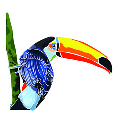 Beautiful Toco toucan, so cute