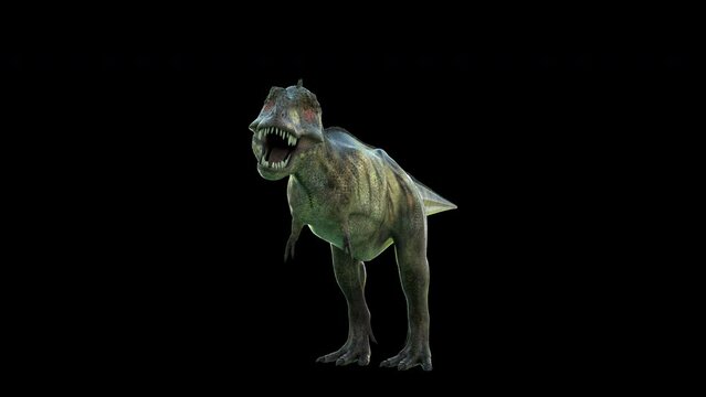 Tyrannosaurus Front View animation.3840&times;2160.7 Second Long.Transparent Alpha
