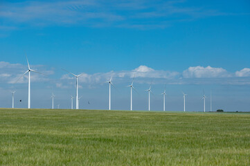 Panoramic view of the wind farm, in a green zone.