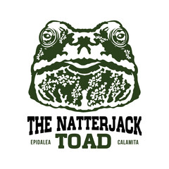 Natterjack toad face vector illustration in decorative style, perfect for tshirt design and mascot logo