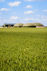 General view of a biogas plant with three digesters in a green wheat field in the countryside under a blue sky with white clouds.