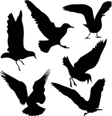 set of silhouettes of flying and landing birds vector