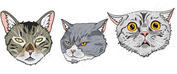 Stickers of the three cats with yellow eyes.