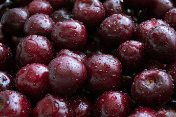 Cherry background. Black sweet cherry with drops of water close-up