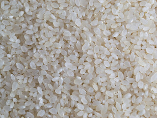 white rice texture background, close up shot of the rice background