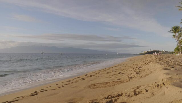 Shot of sunny trail on the waves in the sand of sun sutting in the background. Palm trees along the sandy beach during evening time.