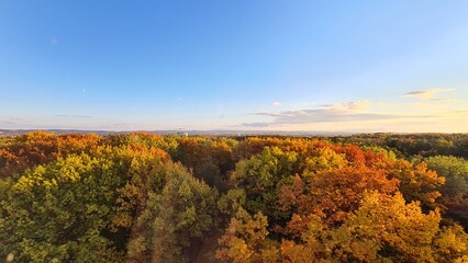 Herbstlicher Überblick