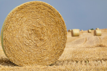 Bala redonda de paja (heno) en un campo cosechado al amanecer con cielo de tormenta (verano)