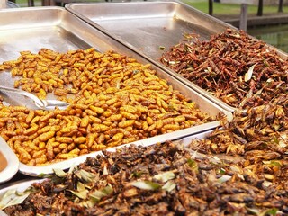 fried silk worm as snack in asia countries, local food snacks that are high in protein and fried insects are popular food paired