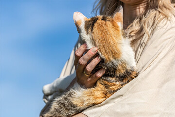 Close-up of a woman cuddling with a tricolor calico lucky cat on her arms
