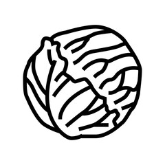 red cabbage line icon vector. red cabbage sign. isolated contour symbol black illustration