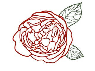 The rose is a symbol of the love/