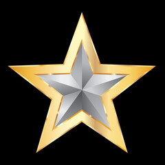 silver and golden star badge, vector illustration