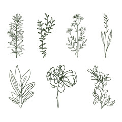 One Line Drawing Set Of Plants Black Sketch of Flowers Isolated on White Background. Flowers One Line Illustration. Minimalist Prints Set. Vector. Modern Single Line Art, Aesthetic Contour.