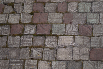 Old cement tiles. Sprouting moss and grass Texture background