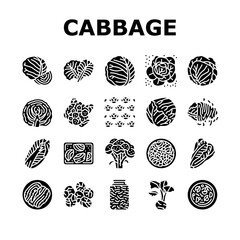 Cabbage Natural Vitamin Food Icons Set Vector. Healthy White And Green Cabbage, Broccoli And Lettuce Ingredient For Cooking Soup And Salad. Cauliflower Vegetable Glyph Pictograms Black Illustrations - obrazy, fototapety, plakaty