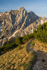 Hiking path in tha Tannheimer Valley with view of Schartschrofen Läuferspitze