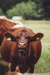 Wanderung im Sauerland in der Nähe der Aabachtalsperre