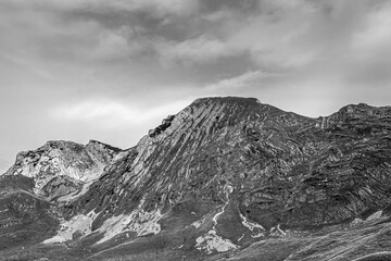 Obraz premium Prutaš mnt