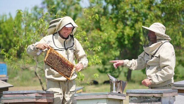 Two apiculturists cooperating at the rural bee farm. Men in special outfits checking frame with bees . Nature backdrop.