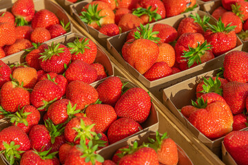 fresh red big strawberries for sale in the greengrocer stall at the local market