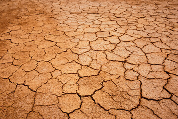 Ses salines.Mongofre Nou.Menorca.Islas Baleares. España.