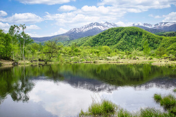 Fototapeta na wymiar 乗鞍高原・まいめの池周辺のさわやかな6月の風景