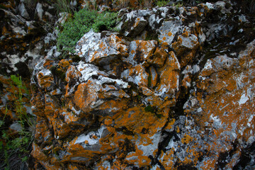 rock close-up with grass and blue sky