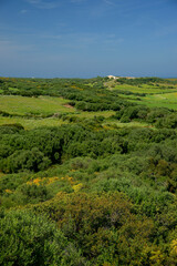 Parc natural de s' Albufera des Grau.Menorca.Reserva de la Bioesfera.Illes Balears.España.