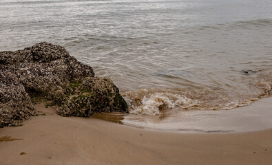 Rocks and beach by the sea and blurred background.