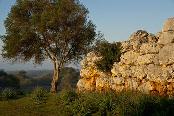 Muralla, poblado Talayótico de Son Catlar, 550-123 antes de Cristo. Ciutadella.Menorca.Islas Baleares. Spain. © Tolo