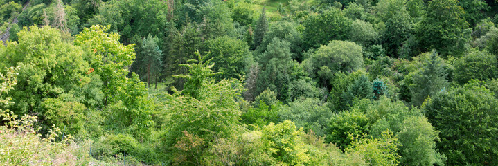 Summer forest background, beautiful bird eye view on green trees .