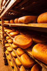 fabricacion artesanall de queso Binibeca de Jaume Pons - denominacion de origen Mahon artesano-  finca Alcaiduset, Alaior, Menorca, Islas Baleares, españa, europa.