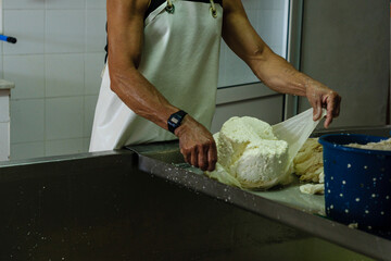 fabricacion artesanall de queso Binibeca de Jaume Pons - denominacion de origen Mahon artesano-  finca Alcaiduset, Alaior, Menorca, Islas Baleares, espa&ntilde;a, europa.