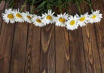 Fototapeta premium daisies on a wooden background. copy space