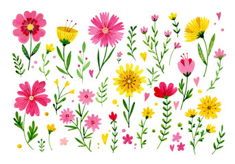 Set of watercolor wildflowers - pink, yellow, red and green leaves, isolated on white background.