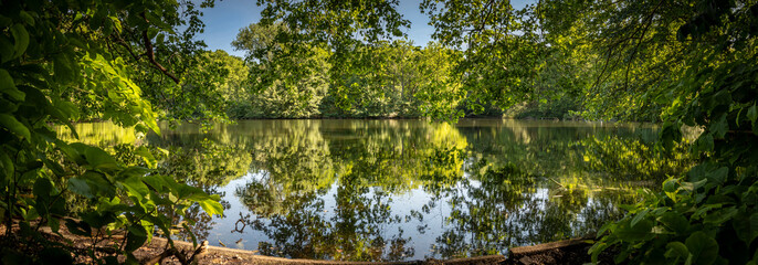 Fototapety  Beauty in nature at one of the lakes in the Tiergarten public park in Berlin, Germany. Panorama shot.