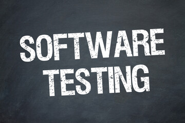 Software Testing