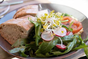 Generic vegan, plant-based salad with tomato, bread and radish.