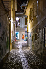 Streets of Ljubljana with people and historic architecture at night