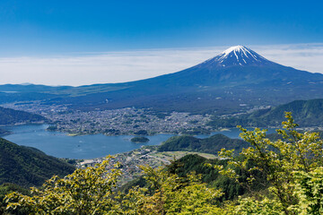 新緑が綺麗な新道峠から見える富士山